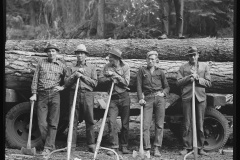 Ola-Cooperative-Sawmill-Workers
