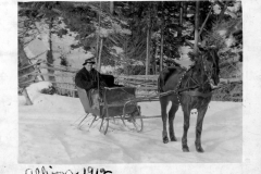 Allison Barclay in his sleigh