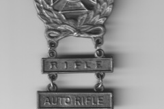 Expert Badge with qualifications for rifle, automatic rifle, and machine gun.